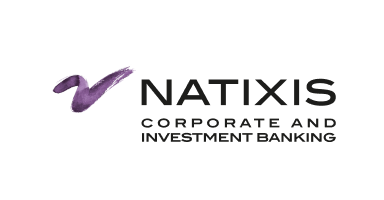  L'image du logo de natixis